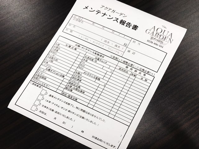 大阪アクアガーデン 水槽メンテナンス3