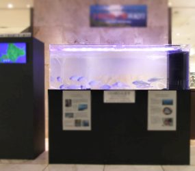 イベントにインパクトのある展示水槽を設置サムネイル画像
