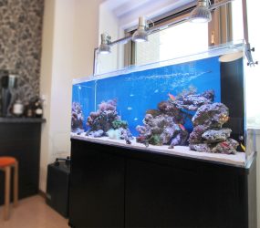 海水魚水槽　120㎝　個人宅様リビング 水槽レンタル事例サムネイル画像