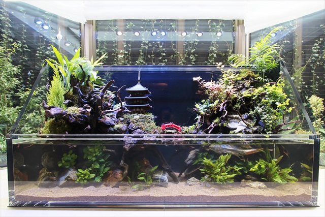 ホテル客室に設置した150㎝大型アクアテラリウムの事例をご紹介！ | 水槽レンタル、熱帯魚のことなら！大阪アクアガーデン