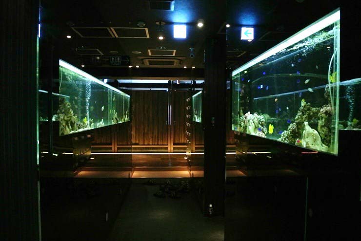 海水魚水槽　200cm　中央区　メンテナンス　飲食店様