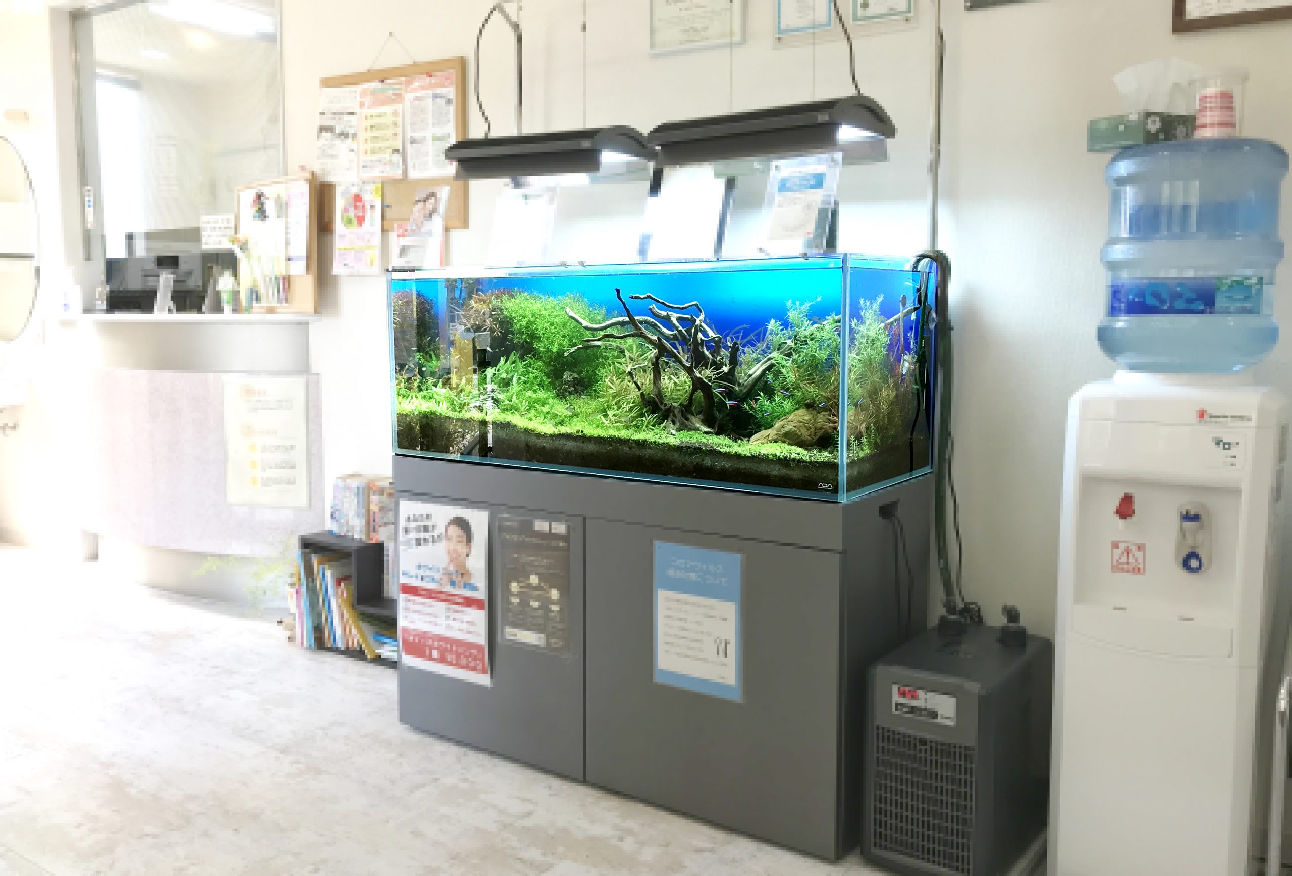 120cm淡水魚水槽　神戸市　歯科クリニック