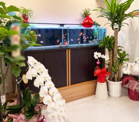 90cm淡水魚水槽 金魚水槽　飲食店に設置サムネイル画像