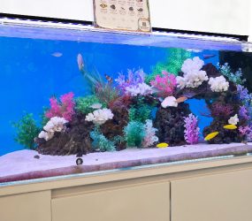 和泉市 120cm海水魚水槽 小児クリニックの待合室サムネイル画像