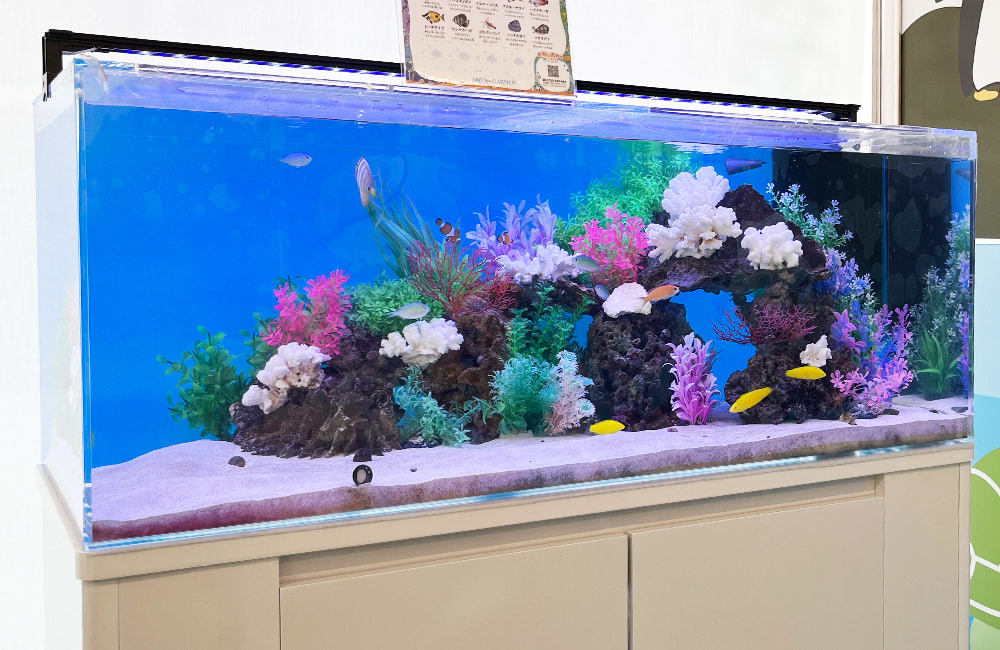 和泉市 120cm海水魚水槽 小児クリニックの待合室