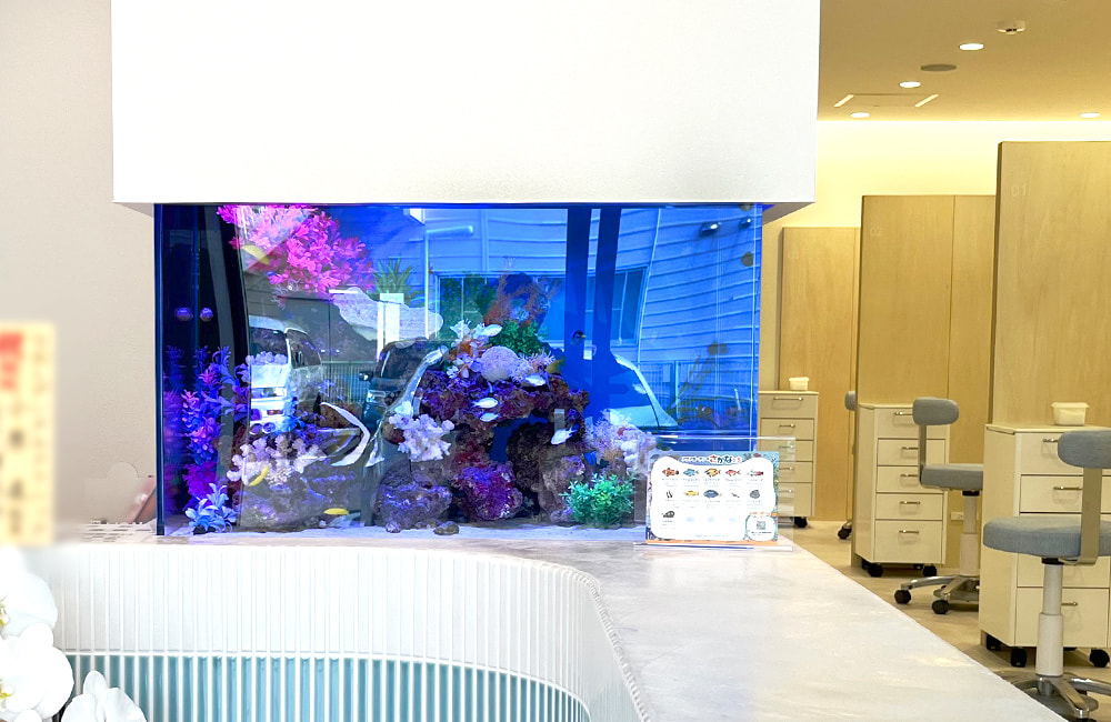 吹田市 新規開院クリニックに設置 85cm海水魚水槽