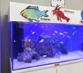 大阪市　医療・教育施設様の90cm海水魚水槽！子供たちに人気のアクアリウムですサムネイル画像