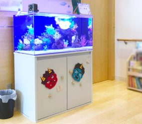 滋賀県大津市　皮フ科クリニック様に設置！90cm海水魚水槽レンタル事例サムネイル画像