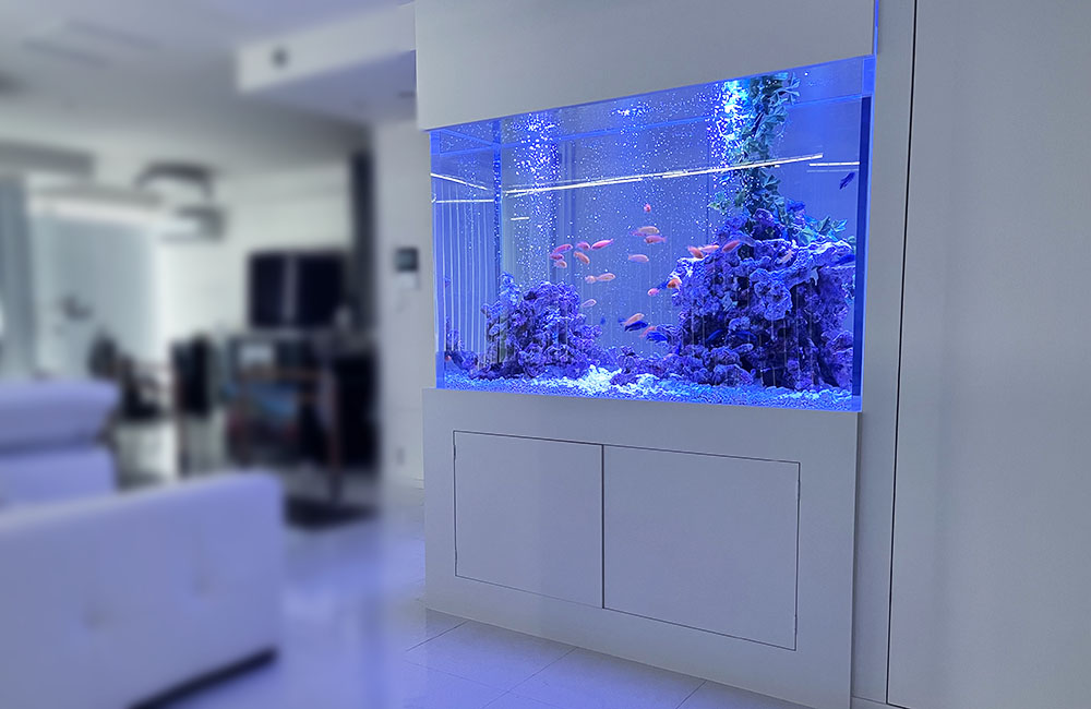 大阪市・個人宅様　リビングを彩る148cm大型シクリッド水槽！販売・定期メンテナンス事例