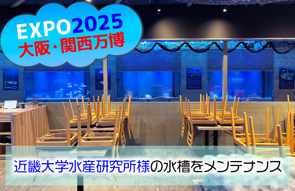 大阪・関西万博「近畿大学水産研究所」様の大型いけす水槽をスポットメンテナンス！