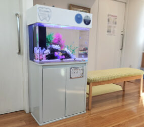 堺市　歯科医院様の60cm海水魚水槽！9年目の様子｜水槽レンタル事例サムネイル画像