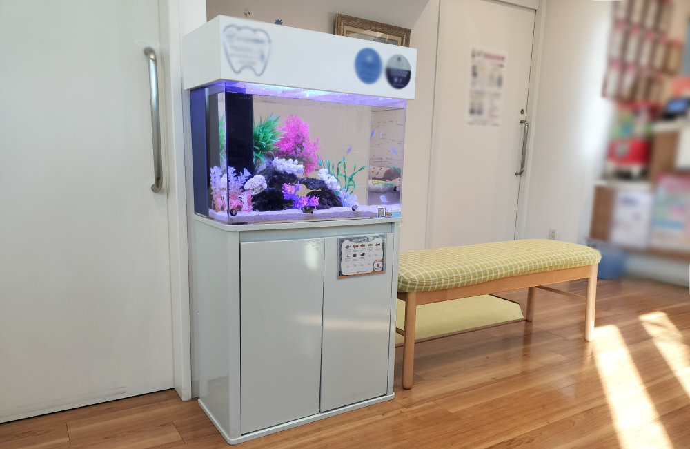 堺市　歯科医院様の60cm海水魚水槽！9年目の様子｜水槽レンタル事例