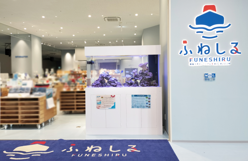 大阪市　商船三井ミュージアム「ふねしる」様に移設した1.6mサンゴ水槽！その後の様子
