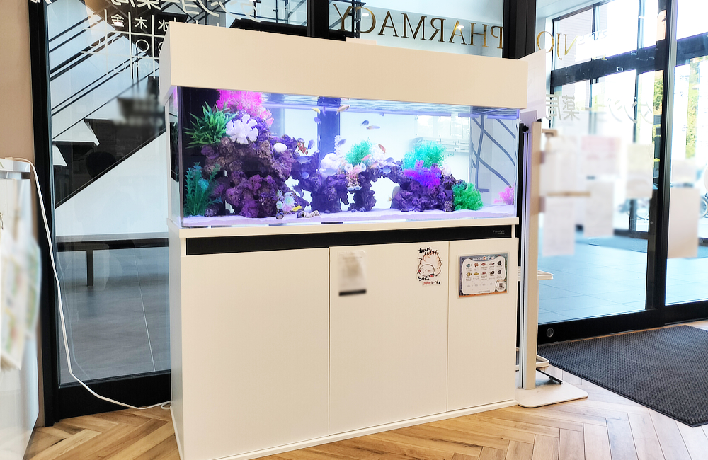 茨木市　薬局の入口に120cm海水魚水槽をレンタル！店の外からも眺められる両面観賞アクアリウム